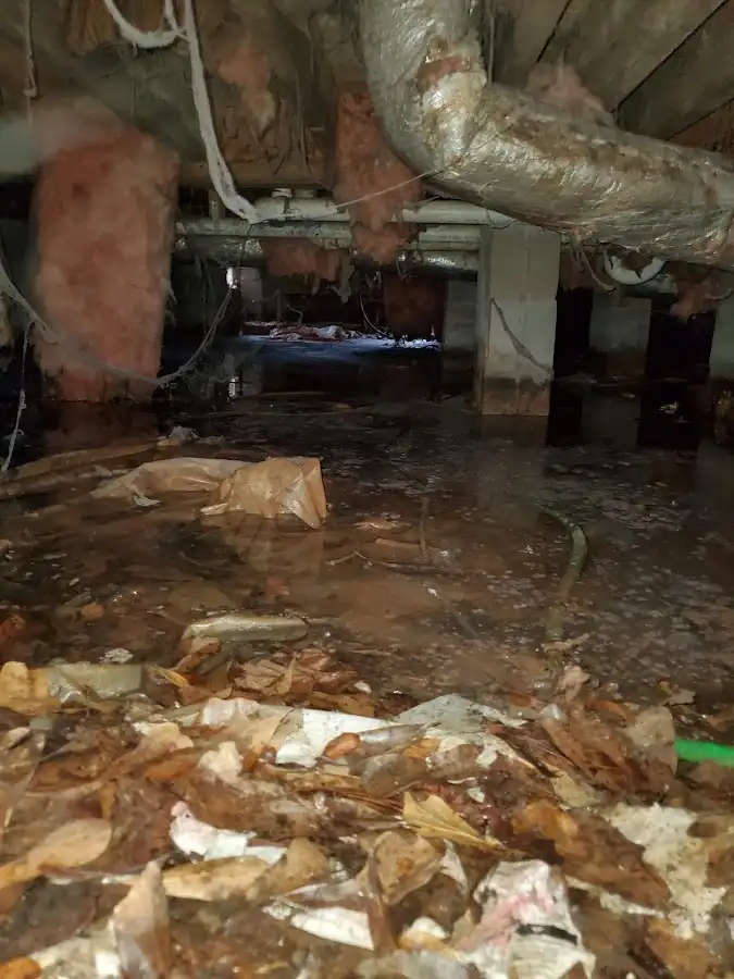Crawl space flood assessment for Commercial Water Damage Restoration in Florence