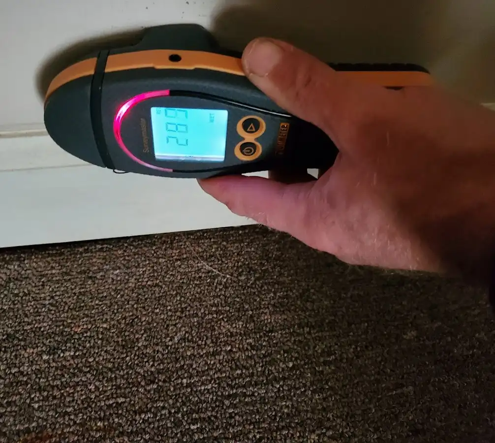 Moisture detection at baseboard during Sewage Cleanup & Sanitation in Florence